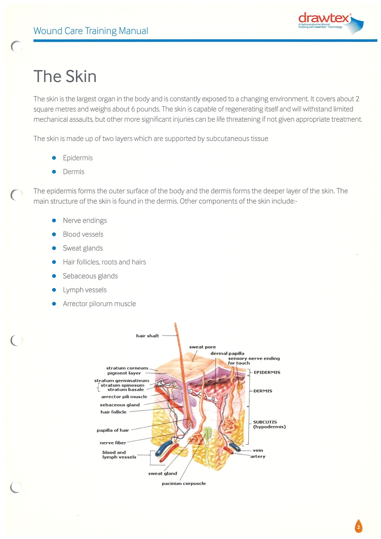 Original manual, The Skin page